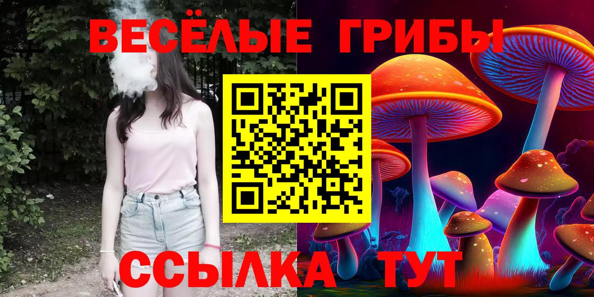 Полысаево  Псилоцибиновые грибы Psilocybe  Вход с VPN  Псилоцибиновые грибы Magic Shrooms 
