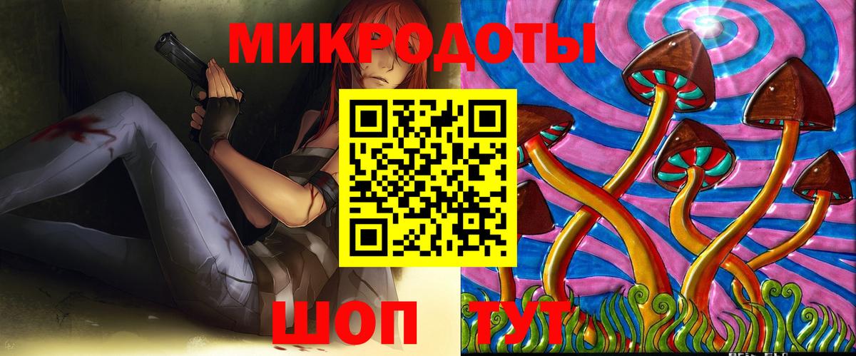Псилоцибиновые грибы Psilocybine cubensis Полысаево